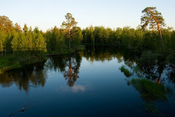 Lake in the forest
