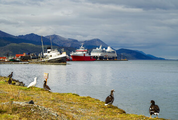 Modern cruise ship, cruiseship liner or expedition vessel ship in port of Ushuaia, Argentina with...