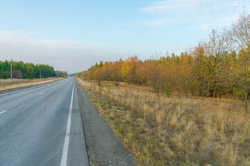 Fototapeta na wymiar autumn forest landscape with blue sky background