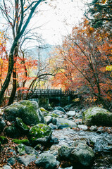 소백산
