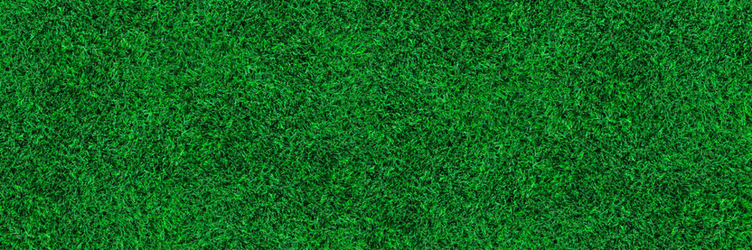 horizontal green turf texture for pattern and background
