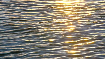 Golden sunlight on the rippling lake at sunset, slow motion - Powered by Adobe