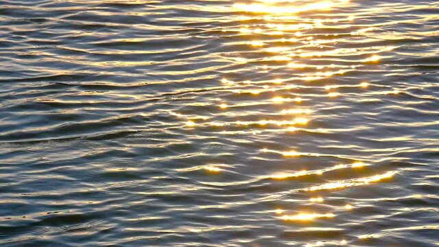 Golden sunlight on the rippling lake at sunset, slow motion