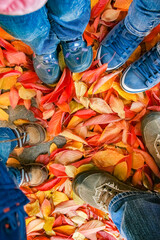 feet on the background of leaves in autumn on a background of the summer