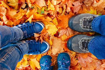 feet on the background of leaves in autumn on a background of the summer