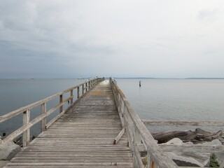 Obraz premium old portbridge with many eagulls