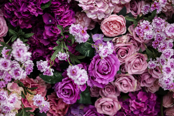 Closeup image of beautiful flowers wall background with amazing colorful roses. Top view