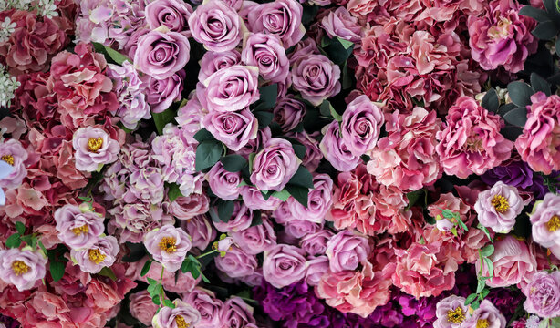 Closeup image of beautiful flowers wall background with amazing colorful roses. Top view