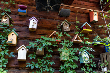 Old decorative bird feeders and wooden birdhouses