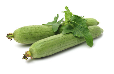 fresh loofah on the white background 