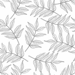 Hand Drawn Seamless Foliage Pattern. Cute background with black line leaves on white background.