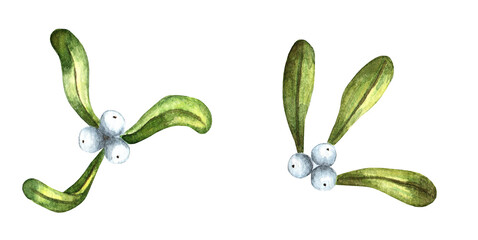 Set of hand drawn mistletoe leaves and berries, botanical decor. Watercolor illustration for New Year and Christmas. Isolated on white background. Drawn by hand.