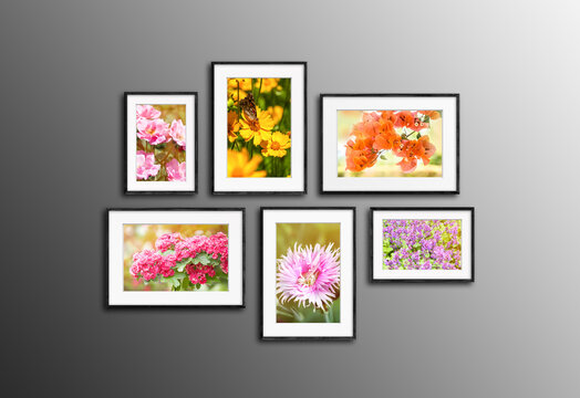 Frames set with flowers collage, six black frameworks mock up isolated on dark wall