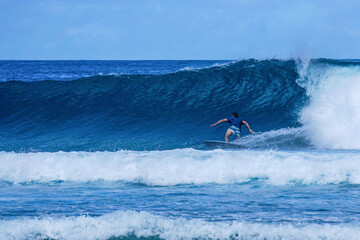 Obraz premium Surfer on perfect blue aquamarine wave, empty line up, perfect for surfing, clean water, Indian Ocean
