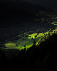 Clairière verte vallée des Pyrénées