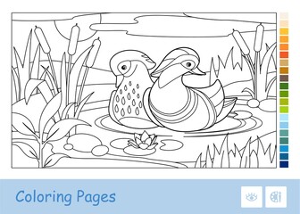 Colorless vector contour image of mandarin ducks floating on a forest river near reeds and water lilies isolated on white background