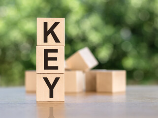 key points word abstract in vintage letterpress wood type