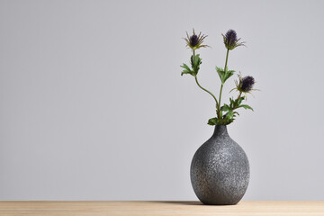 Modern ceramic vase with thistle flower on gray background - obrazy, fototapety, plakaty