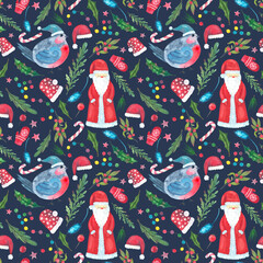 Santa Claus, bullfinches, mittens, New Year's elements on a dark background.