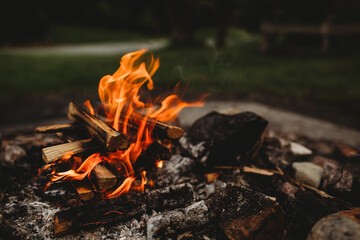 Burning fire in a fire pit 