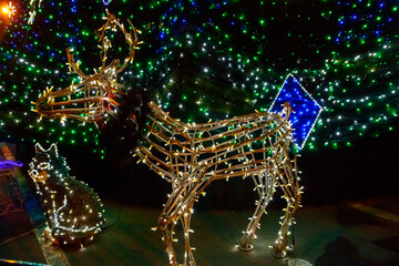 Illuminated Christmas deer at night. Decoration for Christmas and New Years holidays in a city park