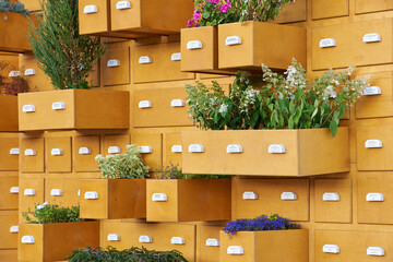 Garden decoration in the form of a wardrobe with flowers outdoor plants