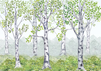 Watercolor birch grove. Watercolor illustration for children's stories. Interior printing.