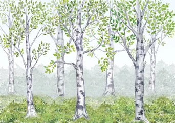 Peel and stick wall murals Birch grove Watercolor birch grove. Watercolor illustration for children's stories. Interior printing.