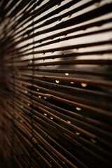 texture background, texture light, abstract 