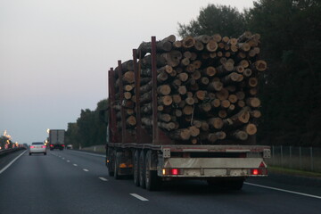 Loaded lumber truck with three-axle semi trailer drive on asphalted suburban highway road at summer evening on sky and forest background back view, forestry industry lumber transportation