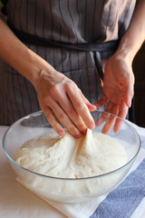 Household. Hands of a female housewife knead the dough in a large bowl. Family celebration.