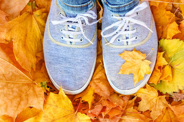 Fototapeta na wymiar feet on the background of leaves in autumn on a background of the summer