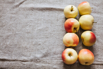 Rustic still life composition with apples in the right corner of the image on burlap fabrics with folds with copy space and sjft blured light on apples