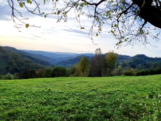 Fototapeta premium spring in the mountains