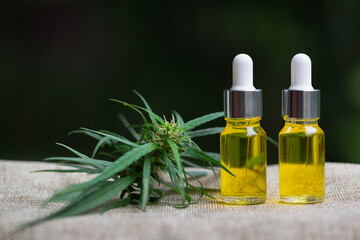 Fototapeta premium CBD oil hemp products, Medicinal cannabis with extract oil in a bottle. Medical cannabis concept