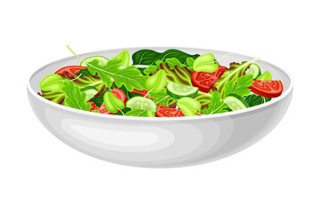 Vegetable Salad with Lettuce and Tomato Vector Illustration