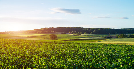 Rural landscape sunset panorama, with a field or meadow leading to the horizon and the picturesque clouds. Wonderful scene. Fantastic sunrise over the meadow with colorful clouds on the sky.