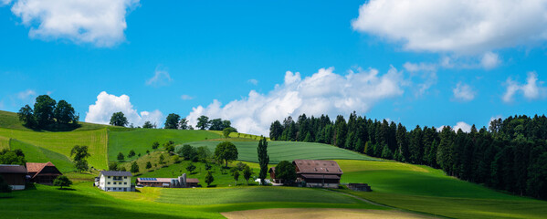 Obraz premium View of farm house and barn in rural area in Switzerland. Concept of organic agriculture. Colorful summer rural view of farmland. Fields and wonderful blue sky.