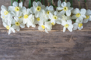 Bunch of white daffodils on old non paint wooden background; Template for greeting card. Frame of white flowers. Space for text