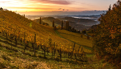 Naklejka premium Autumn View from South Styrian route in Austria at hills in Slovenia during sunraise.