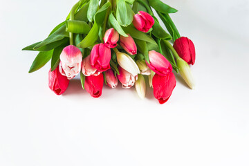 Bunch of fresh red, pink and white tulips on white background. Space for text