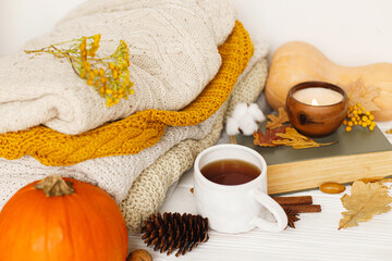 Fototapeta na wymiar Happy Thanksgiving. Warm tea, pumpkins, cozy sweaters, autumn leaves, candle and book