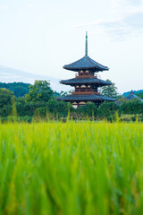 21遺産法起寺三重塔