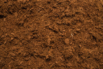 Coconut substrate background.