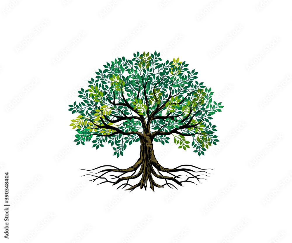 Fototapete tree and roots vector, tree with round shape