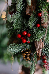 Christmas red berries on a Christmas tree