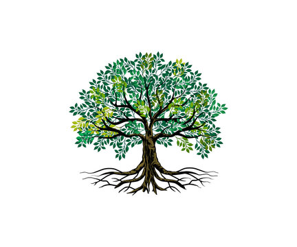 Tree and roots vector, tree with round shape