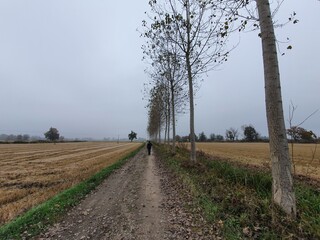 Villanova d'Ardenghi (Pavia)