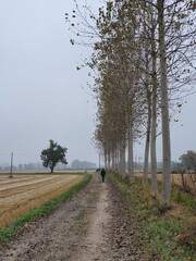 Villanova d'Ardenghi (Pavia)