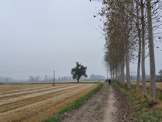 Villanova d'Ardenghi (Pavia)